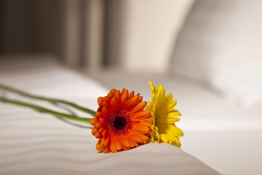 Dahlia Inn Praha Exteriér fotografie
