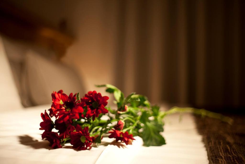 Dahlia Inn Praha Pokoj fotografie