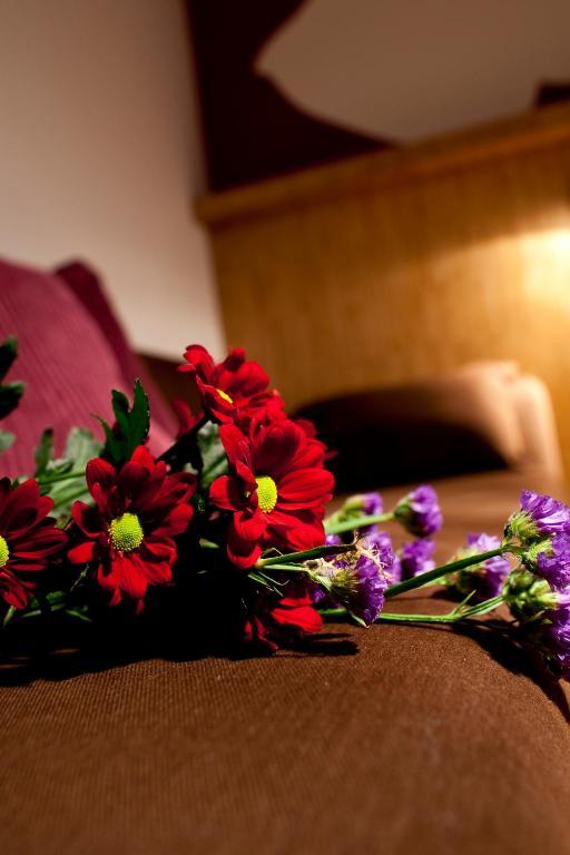 Dahlia Inn Praha Pokoj fotografie