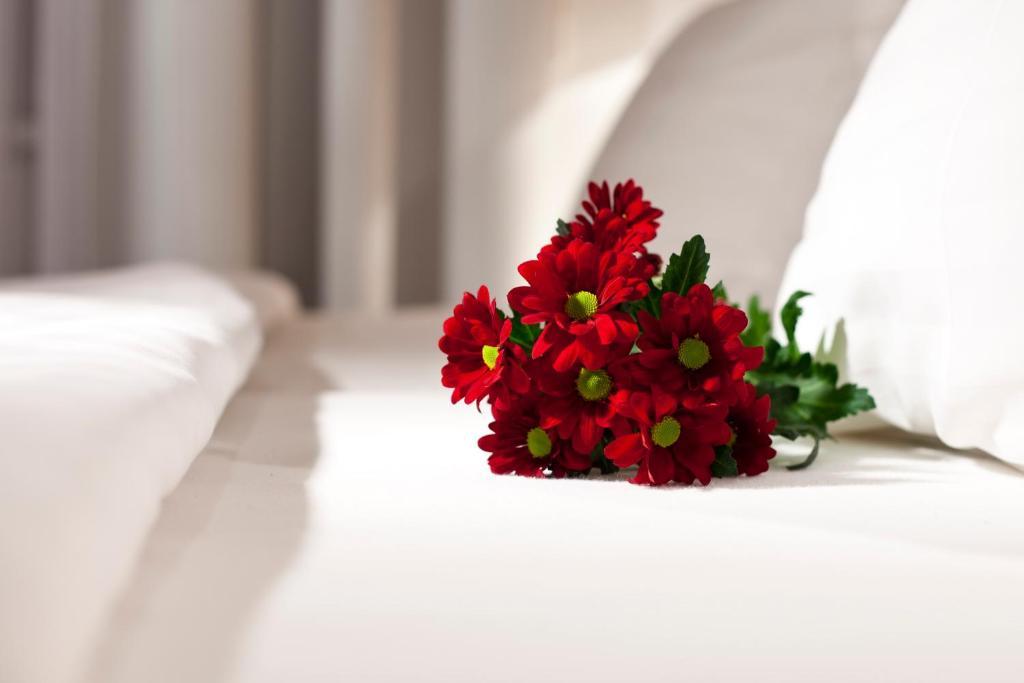 Dahlia Inn Praha Pokoj fotografie